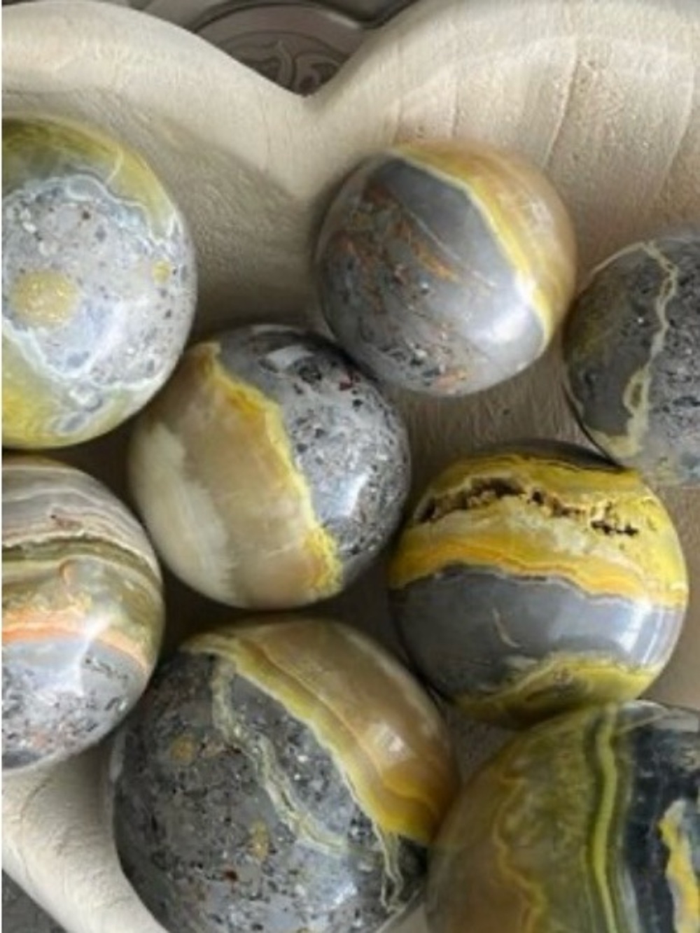 Bumblebee Jasper